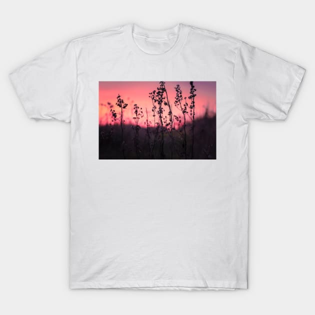 Colorful sunset and flowers T-Shirt by blossomcophoto